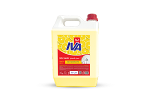 Iva Dish Wash Liquid